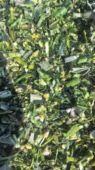 전 세계 신선 농산물 보관 및 운송에 어려움이 자주 발생하는 상황에서 Yiman Agricultural의 둥근 양배추의 처음부터 끝까지 신선한 품질을 유지할 수 있는 방법은 무엇입니까?